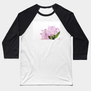 Beautiful blooming purple Peruvian Lily of the Incas or Alstroemeria aurea Baseball T-Shirt